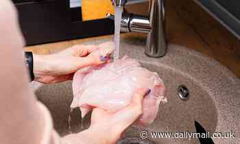 Scientists reveal how to wash chicken safely - as salmonella scare sweeps the UK