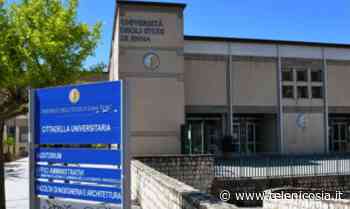 Aperte le iscrizioni alla Kore di Enna per il corso propedeutico Interventi Assistici con gli Animali - TeleNicosia