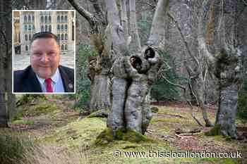 Epping Forest recognised as 'Ancient Canopy' for Queen's Jubilee
