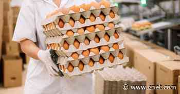 The Bird Flu Epidemic Isn't a Threat to Humans But It's Causing Egg and Poultry Prices to Soar     - CNET