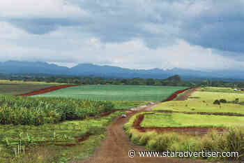 Kokua Line: How do Oahu farmers get $50,000?