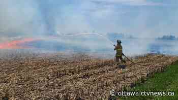 Open Air Fire Ban issued for Ottawa as firefighters battle brush fires - CTV News Ottawa
