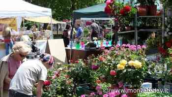 Gonfiabili e bancarelle, festa nel quartiere - MonzaToday