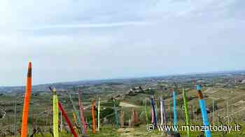 A due ore da Monza, tra panchine giganti e una vigna di pastelli - MonzaToday