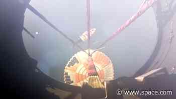 Watch Rocket Lab catch a falling booster with a helicopter (video)