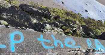 'Disgusting' racist slurs graffitied along beautiful Dublin beach - Dublin Live