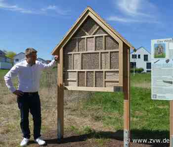 Hotel für Wildbienen in Kernen: Insektenhotel soll zum Artenschutz beitragen - Zeitungsverlag Waiblingen