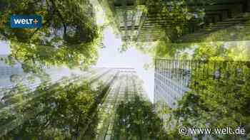 Nachhaltigkeit ist von Beginn an mit einem Schatten unterwegs