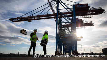 Wegen Ukraine-Krieg: Fusion der deutschen Terminal-Giganten ist geplatzt
