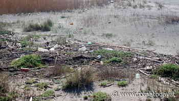 Pulizia delle spiagge, riparte la campagna "plastic free" del WWF