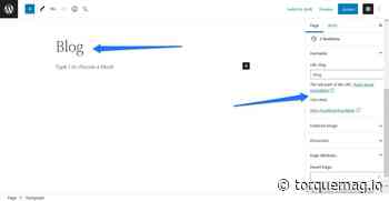 Blogging for Business Guide (2022): 9 Easy Steps to Get Started