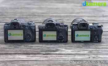 Vergleich: Canon EOS R5, Sony Alpha 7R IV & Nikon Z 7II (Teil 2) - dkamera.de - Digitalkamera Nachrichten