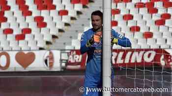 Bari, Frattali rilancia: "Sarebbe bello ripetere la doppia promozione col Parma" - TUTTO mercato WEB