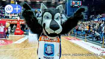 Rostock Seawolves: So sieht Maskottchen Wolfi das Basketball-Team - Ostsee Zeitung