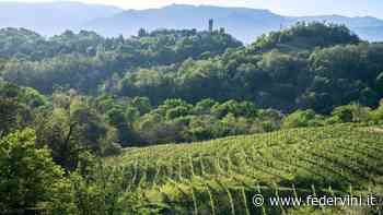Asolo Prosecco, +33,4% nei primi quattro mesi del 2022 - Federvini