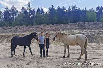 Rotheul: Reiten im Einklang mit der Natur - Neue Presse Coburg