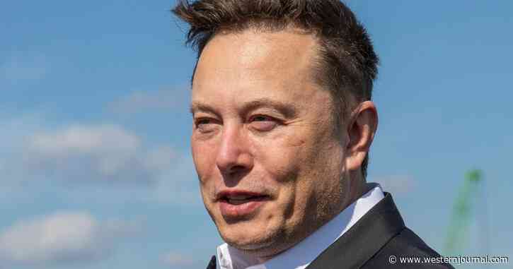Elon Musk Announces His Twitter Acquisition Is 'Temporarily on Hold' Pending Bot Investigation
