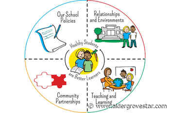 Langley's public school nurse role has evolved – Aldergrove Star - Aldergrove Star