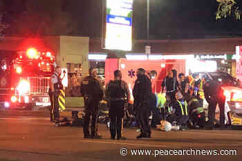 VIDEO: Motorcyclist dies in Langley crash – Peace Arch News - Peace Arch News