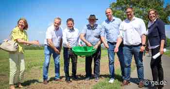 Das Insektenschutzprojekt „Vernetztes Rainland“​ startet in Meckenheim - General-Anzeiger Bonn