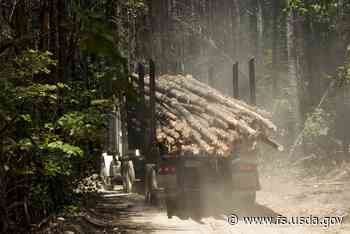 How the pandemic drove up the cost of wood products | US Forest Service - USDA Forest Service
