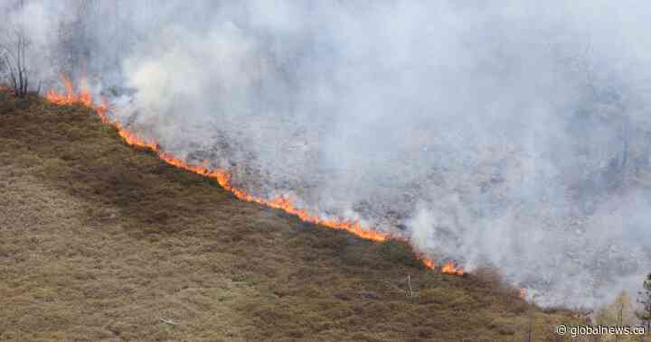 N.S. man recalls ‘surreal,’ smoky scene as Yarmouth County forest fire continues to burn - Global News