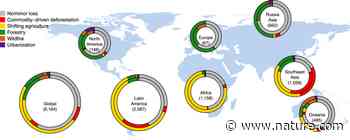 Shifting agriculture is the dominant driver of forest disturbance in threatened forest species' ranges | Communications Earth & Environment - Nature.com