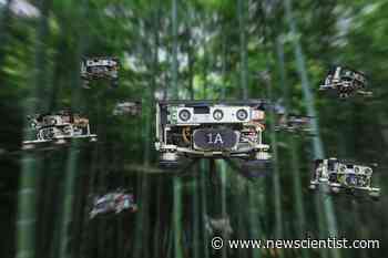 Watch a swarm of drones navigate a forest without crashing - New Scientist