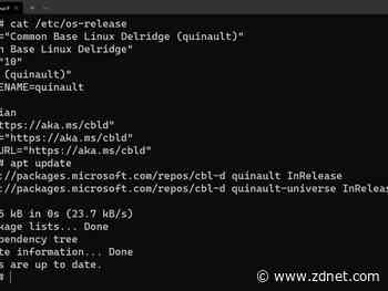 Surprise: There's yet another Microsoft Linux distro, CBL-Delridge