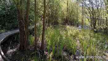 Avec le parc du Plateau d'Avron Rosny-sous-Bois veut favoriser la biodiversité - Les Échos