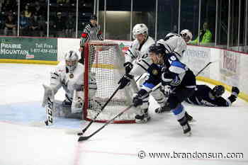 Kings, Pistons ready for Game 7 in Steinbach - The Brandon Sun