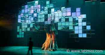 Step into Glenn Kaino's magical and immersive forest installation - Los Angeles Times