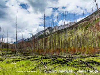 Curbing Canadian forest fires could be an affordable way to cut emissions: study - Canadian Underwriter