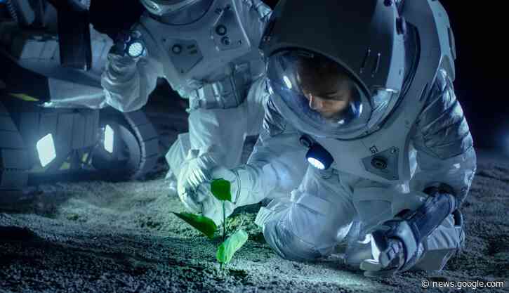 Scientists Grow Plants in Moon Soil – A First in Human History - SciTechDaily