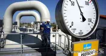 Moskaus Sanktionen weiter ohne Auswirkung auf Gasversorgung - Wirtschaft - Rheinpfalz.de