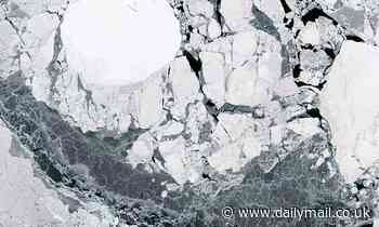 Some Antarctic ice shelves have GROWN in the last 20 years despite global warming