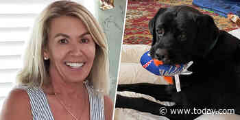 Woman with dementia rescued after 3 days thanks to loyal Lab’s barks