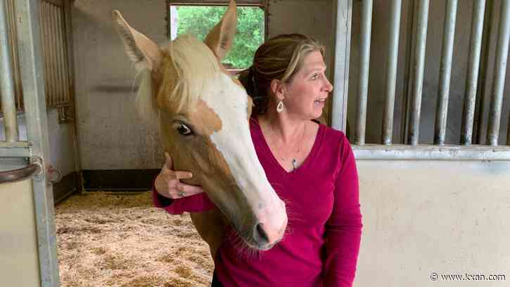 Is your pet's vet safe? Backlogged Texas cases may make it hard to know