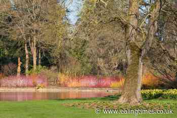 RHS 'disappointed' after Grant Shapps approves M25 revamp near popular garden - Ealing Times