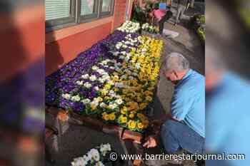 BC campaign aims to create world's largest Ukrainian flag of flowers – Barriere Star Journal - Barriere Star Journal