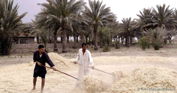 Peggiora la crisi alimentare, piano della Fao per limitare l’impatto della guerra sui paesi poveri. Yellen: “Terribilmente preoccupata”