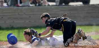 Baseball roundup: Dawson-Boyd jumps out early in Camden win - West Central Tribune