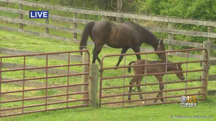 Where’s Marty? Visiting Willowdale Farm & Farmacy Brewery