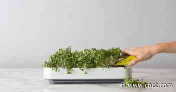 You Don't Need a Yard to Grow a Garden: Just Do It Indoors     - CNET