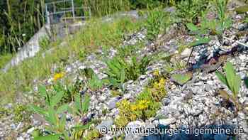 Wandern in Strassberg bei Bobingen: Wenn der Leitenberg erzählt - Augsburger Allgemeine
