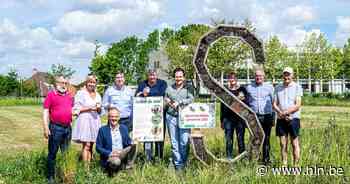 Staden wordt bijvriendelijker: “Nu zelfs al honing van eigen bodem dankzij bijenkasten op openbare plaatsen” - Het Laatste Nieuws