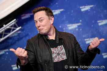 Musk e Twitter, per ora tutto fermo. Secondo lui per i profili fake, in realtà... - ticinolibero.ch