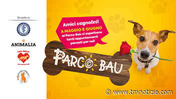 Centro Commerciale “Girasole” di Campiglione di Fermo, alla scoperta del nostro “migliore amico” ⋆ Ultime notizie Marche: Cronaca, Sport, Politica - TM notizie