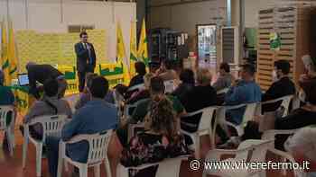 Lavoro, Coldiretti Ascoli Fermo: “C'è carenza di manodopera qualificata, problemi per raccolta di ortofrutta e vendemmia” - Vivere Fermo