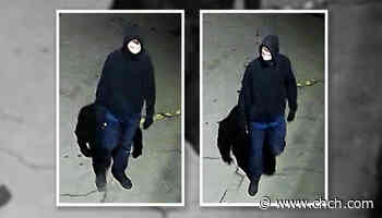 Police looking for a man after a break and enter in Hamilton - CHCH News